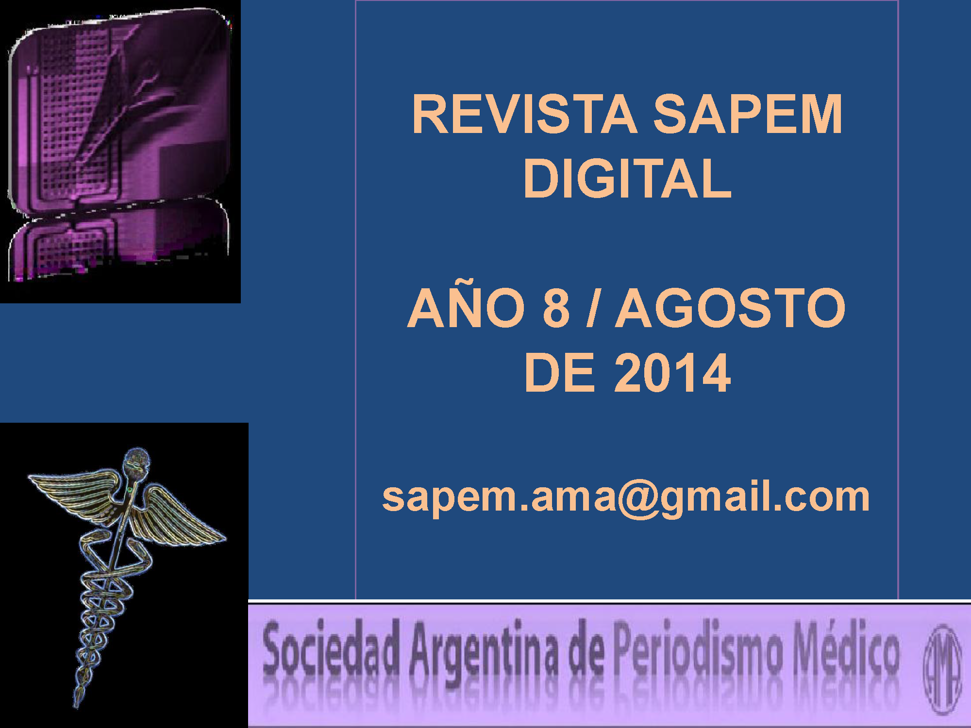 Revista Digital SAPEM Nº11