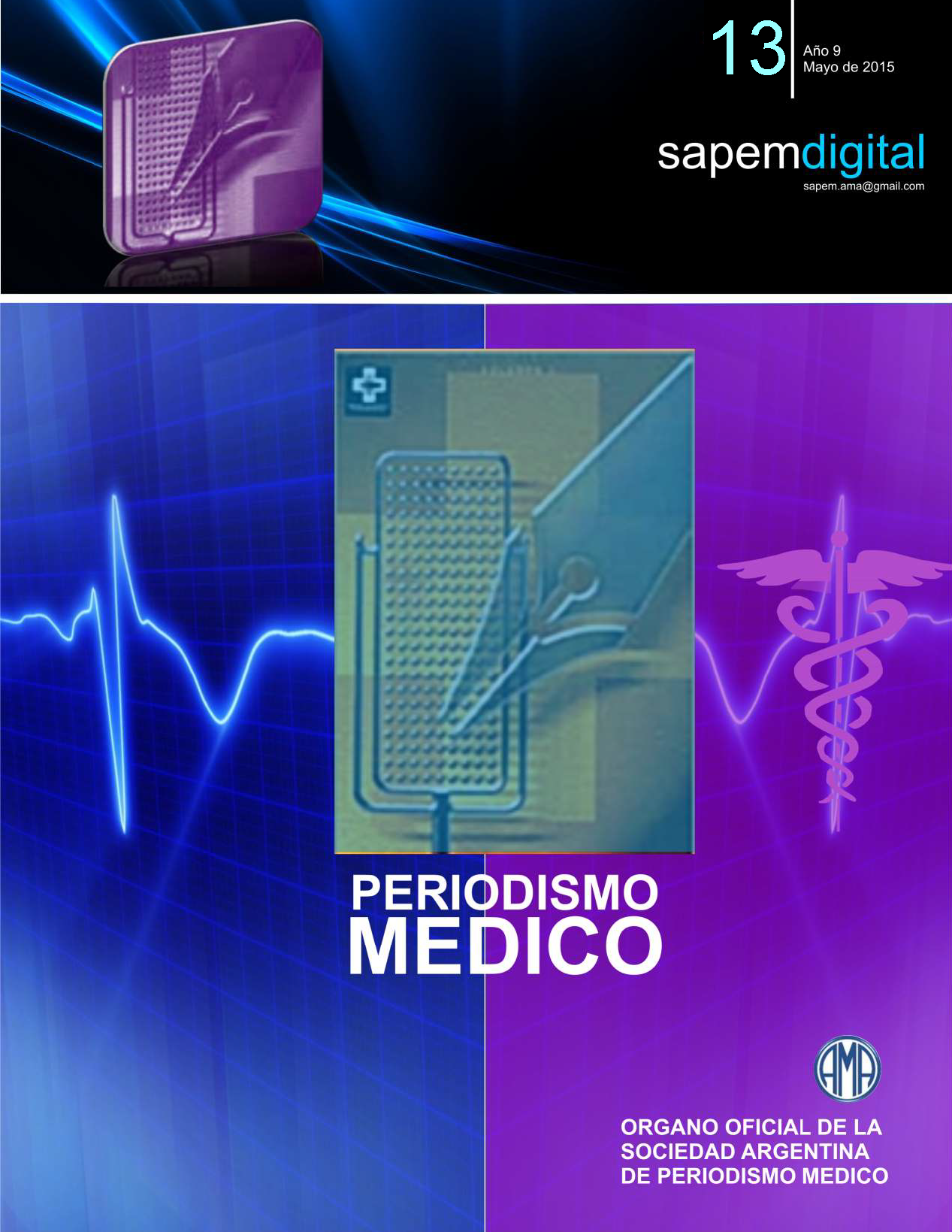 Revista Digital SAPEM Nº13