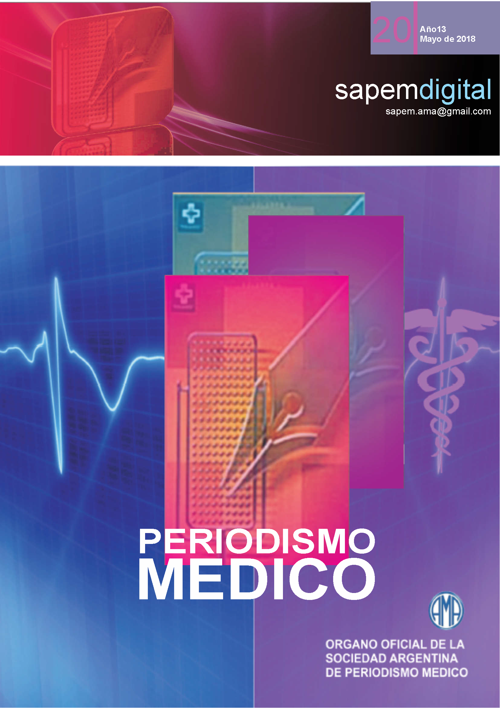 Revista Digital SAPEM Nº20
