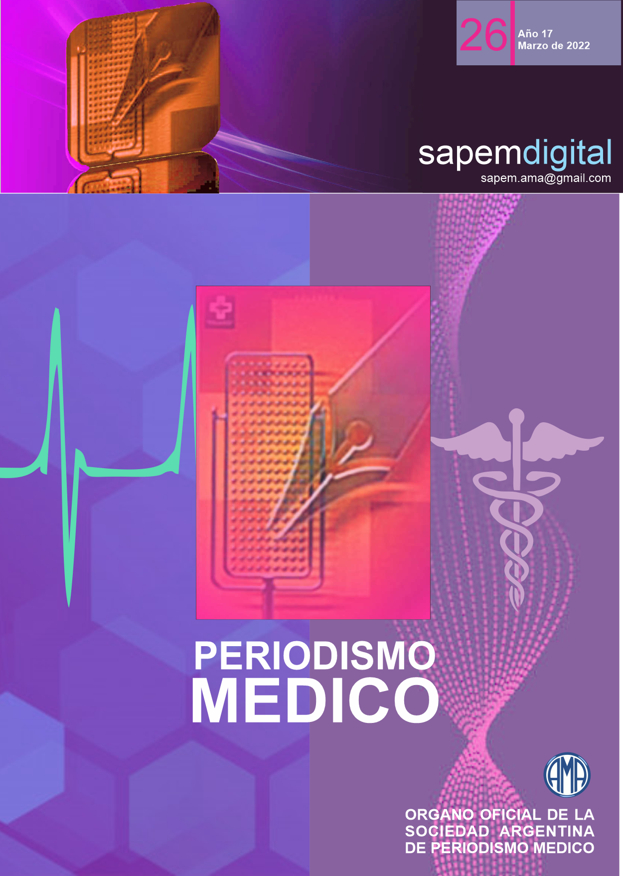 Revista Digital SAPEM Nº26